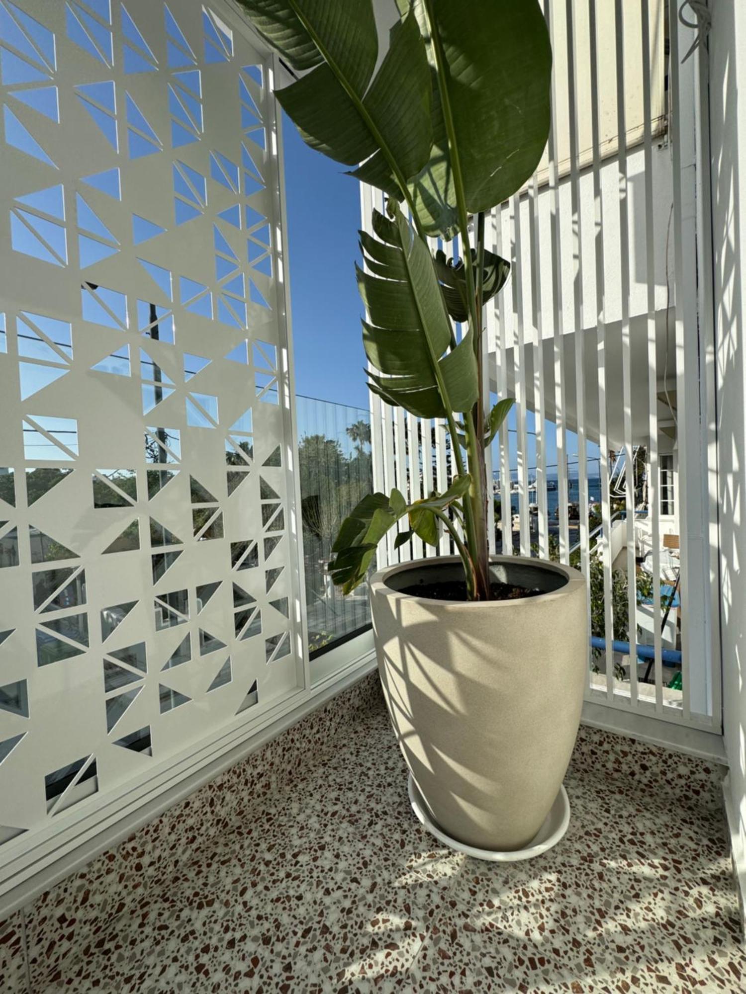 Catherine Hotel Kos